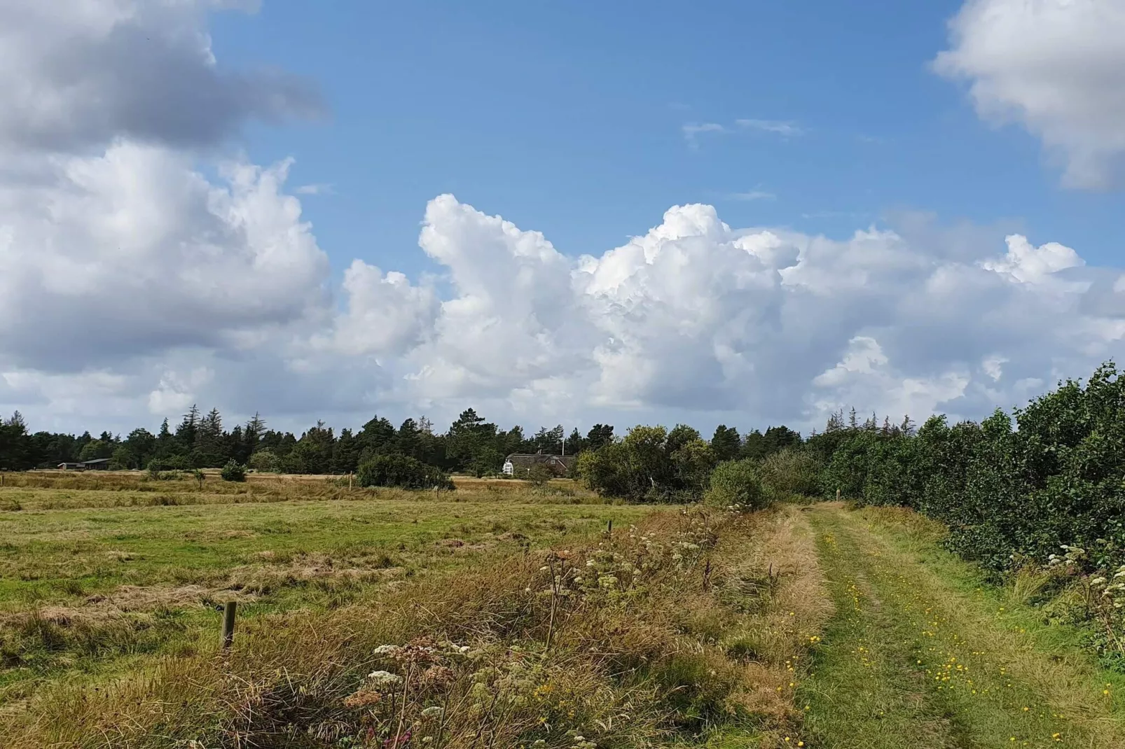 4 persoons vakantie huis in Oksbøl-Niet-getagd