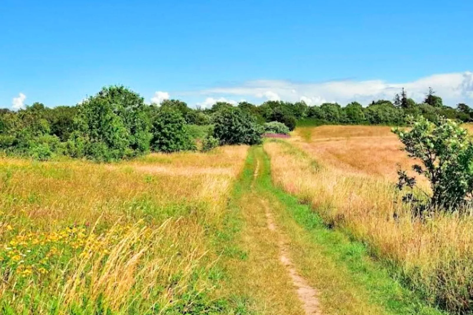 6 persoons vakantie huis in Gilleleje-Waterzicht