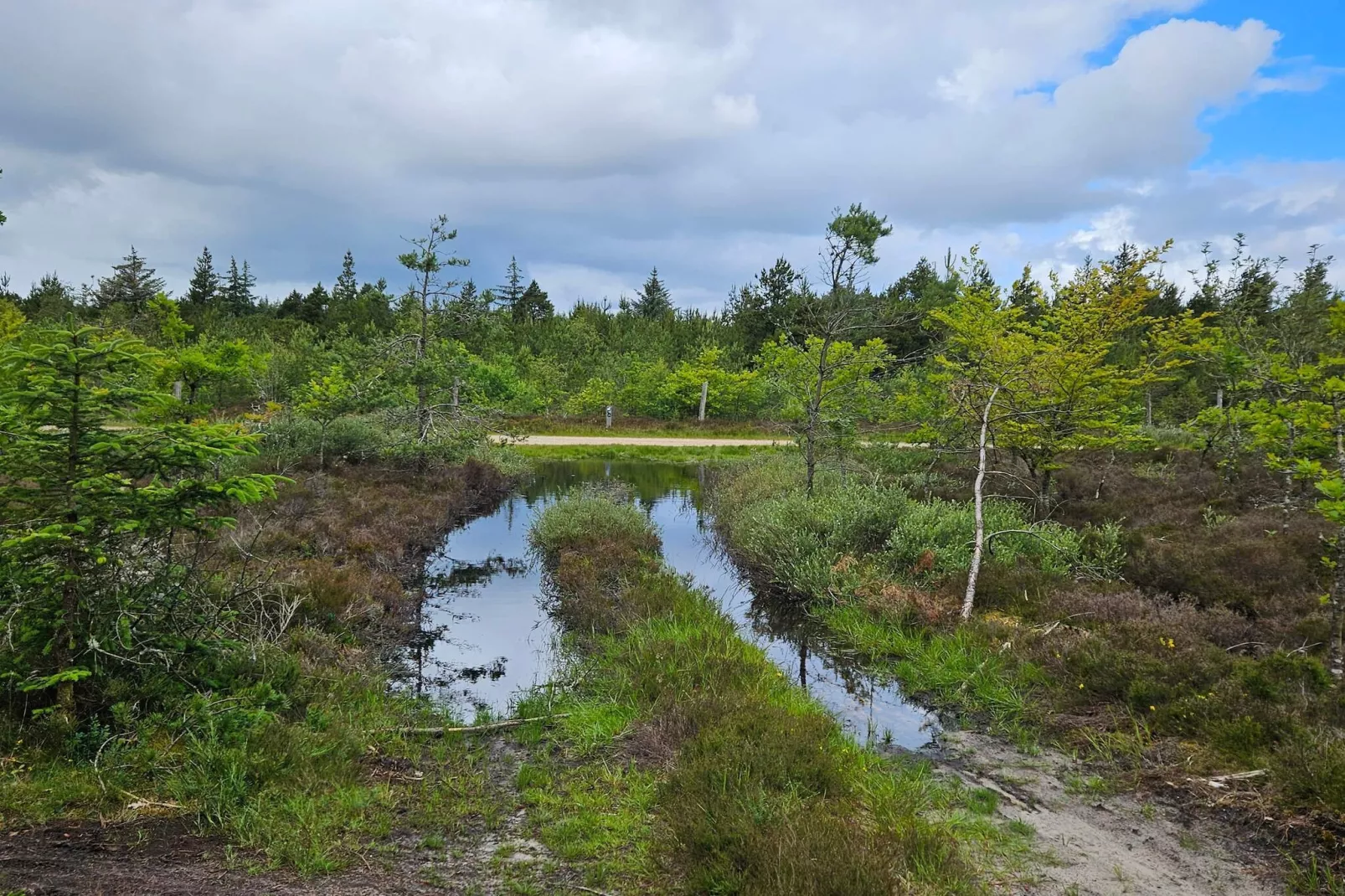 6 persoons vakantie huis in Nørre Nebel