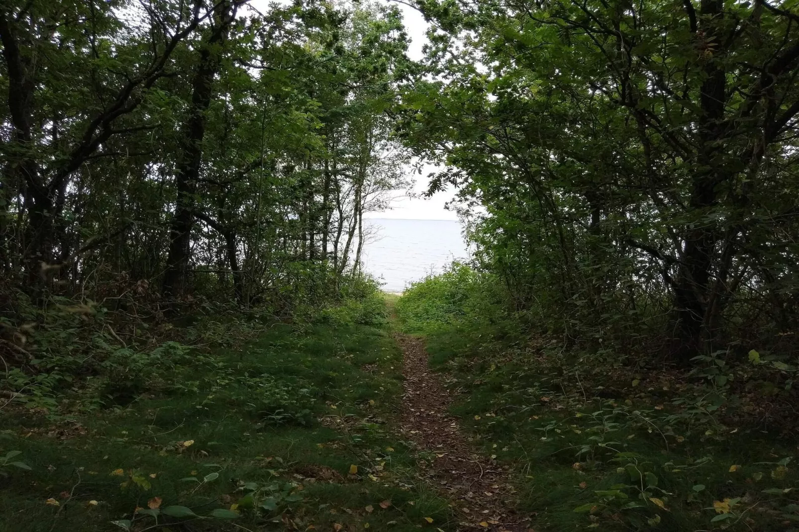 5 persoons vakantie huis in Roslev-By Traum-Waterzicht