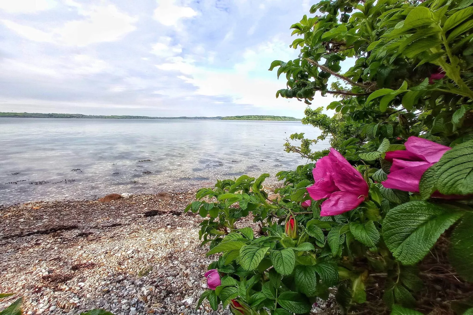 12 persoons vakantie huis in Aabenraa-By Traum-Waterzicht