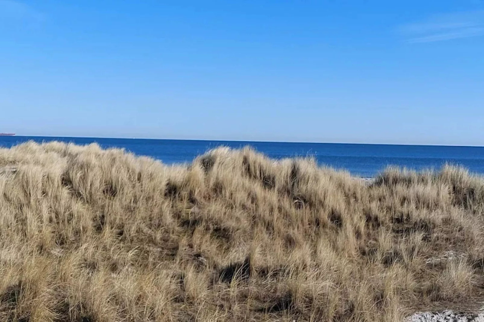 Strandoase in Grena -- By Traum Ferienwohnungen-Waterzicht