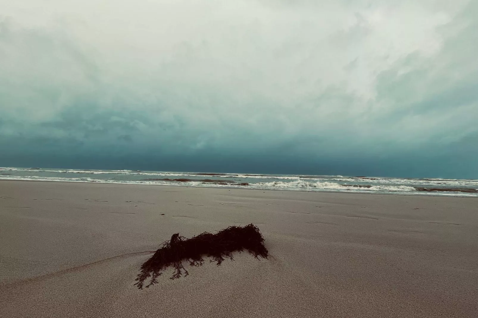 Strandparadijs in Saltum -- By Traum Ferienwohnungen-Waterzicht