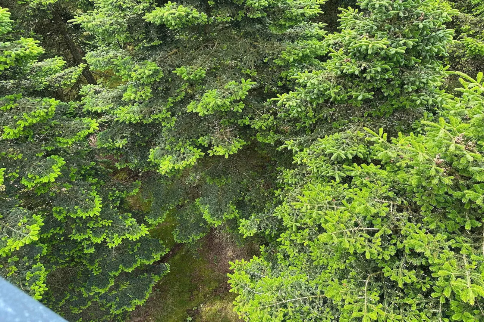 6 persoons vakantie huis in Hovborg-By Traum-Niet-getagd