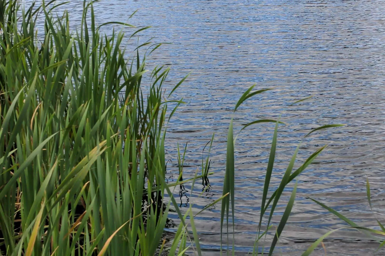 8 persoons vakantie huis in Skals-Waterzicht