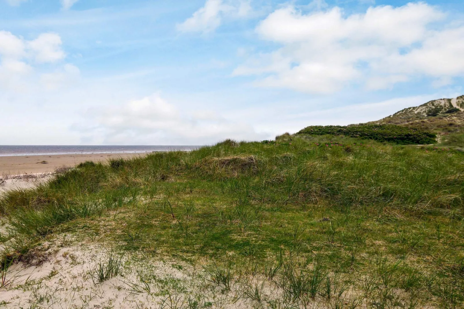 12 persoons vakantie huis in Fanø-By Traum-Waterzicht