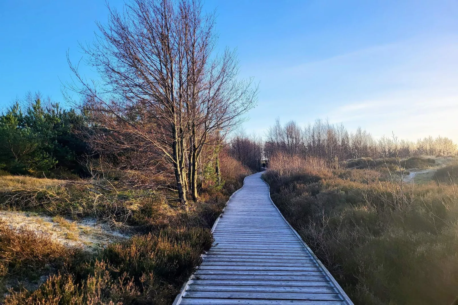 Modern huis nabij strand -- By Traum Ferienwohnungen-Niet-getagd
