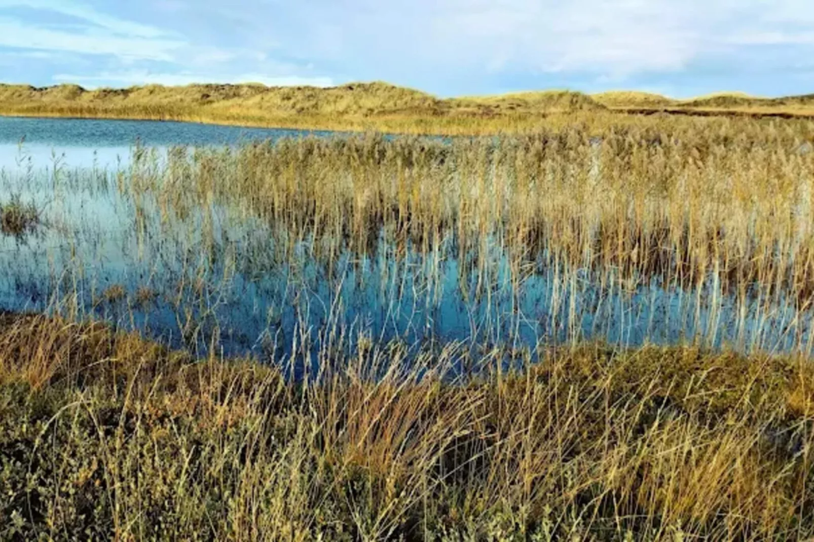Moderne toevlucht in Graerup -- By Traum Ferienwohnungen-Waterzicht