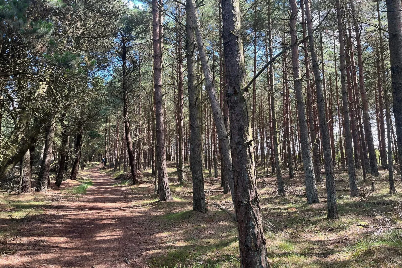 6 persoons vakantie huis in Thyholm-By Traum-Niet-getagd