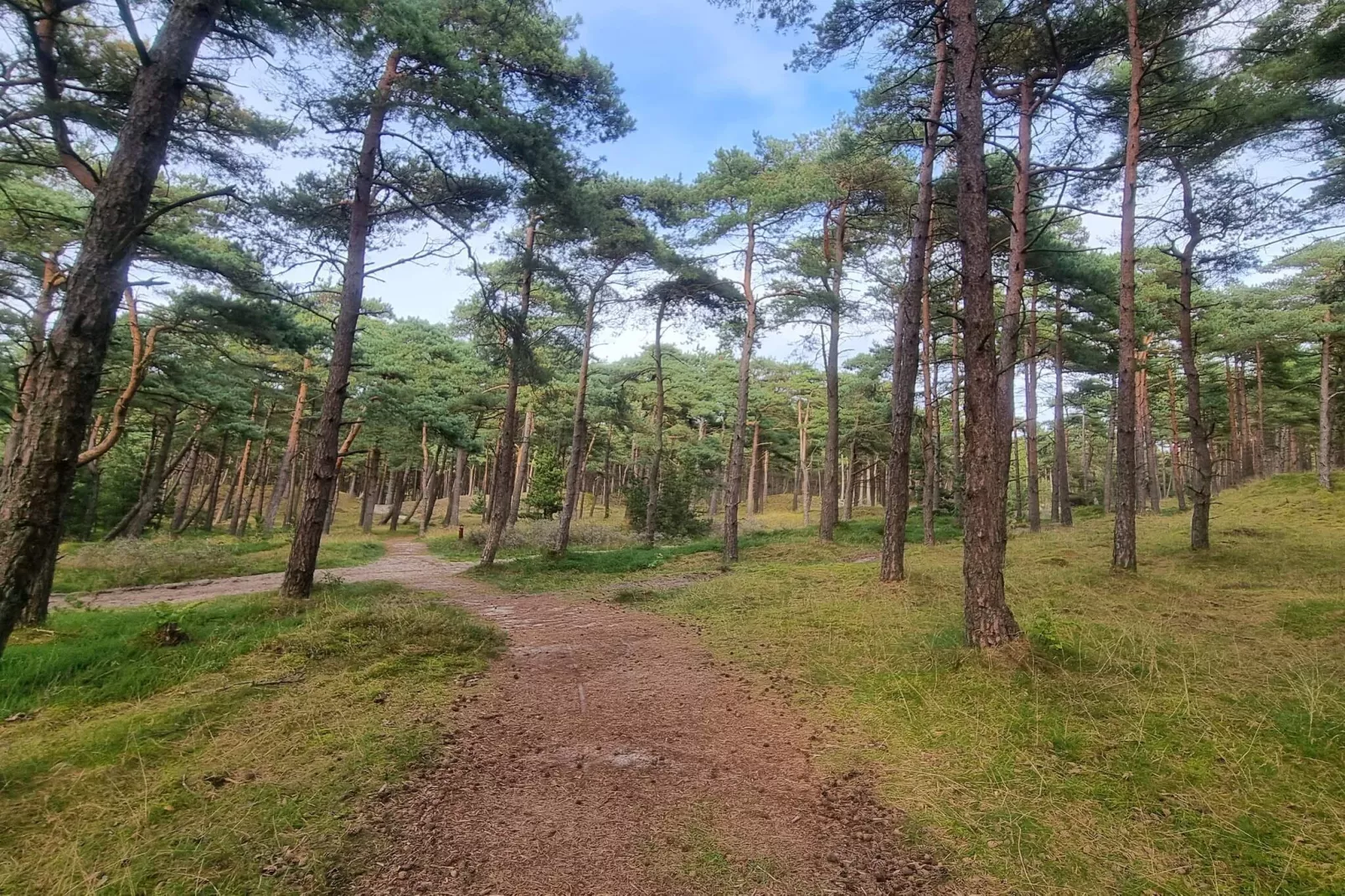 Moderne retraite nabij Vadehavet -- By Traum Ferienwohnungen-Waterzicht