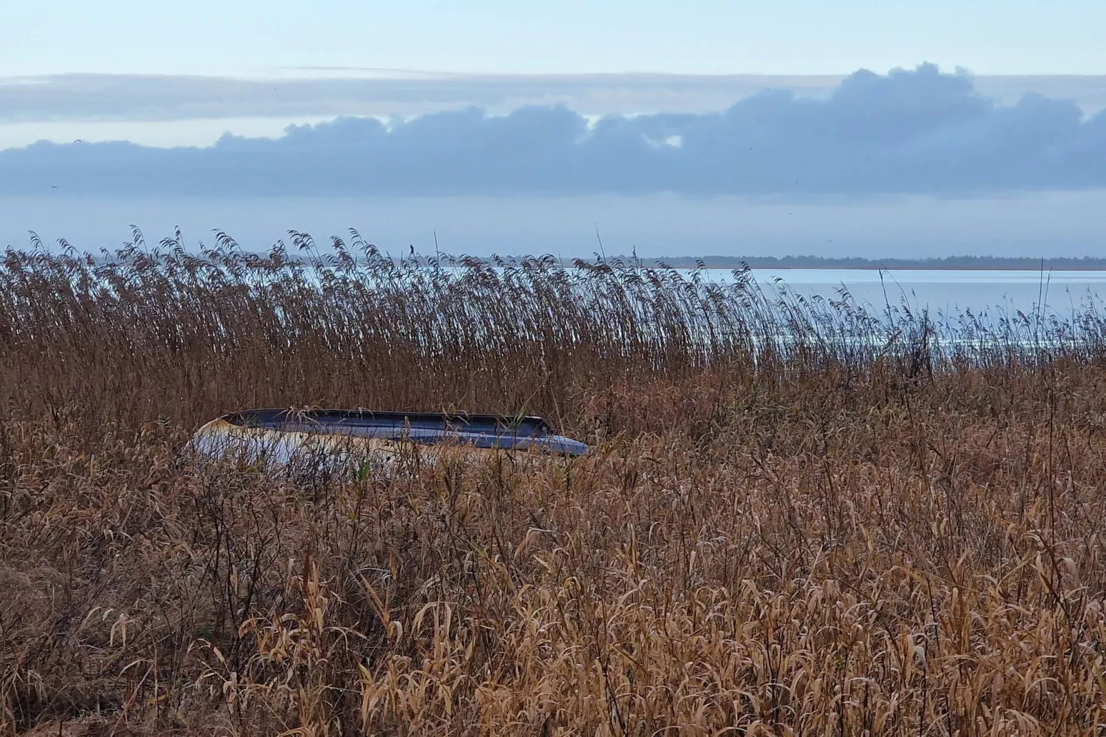 Afgelegen oase bij fjord -- By Traum Ferienwohnungen-Waterzicht