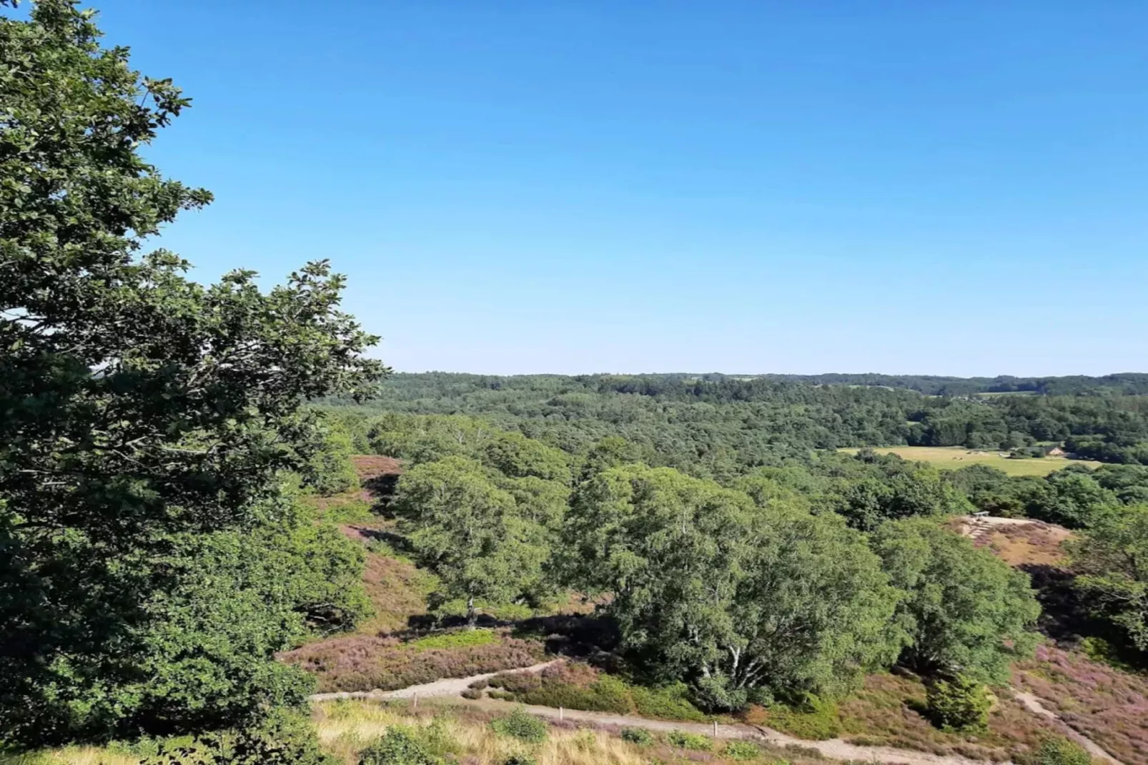 8 persoons vakantie huis in Gjern-By Traum-Niet-getagd