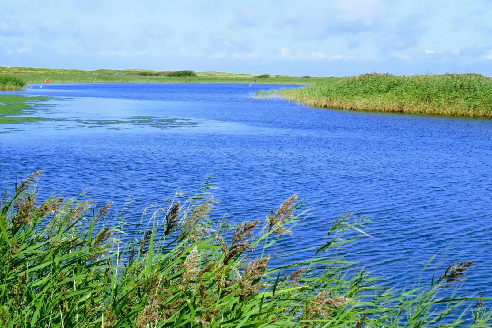Bos retraite in Bork Havn -- By Traum Ferienwohnungen-Waterzicht