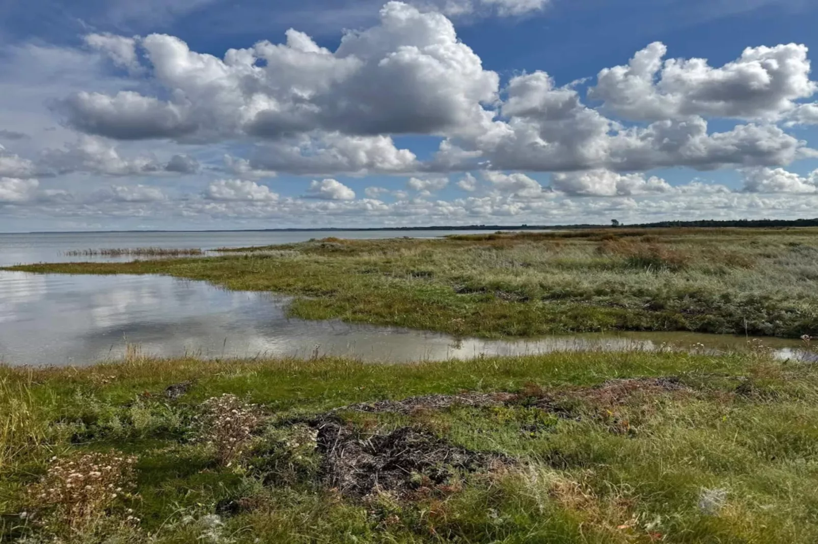 11 persoons vakantie huis in Ørsted-By Traum-Waterzicht