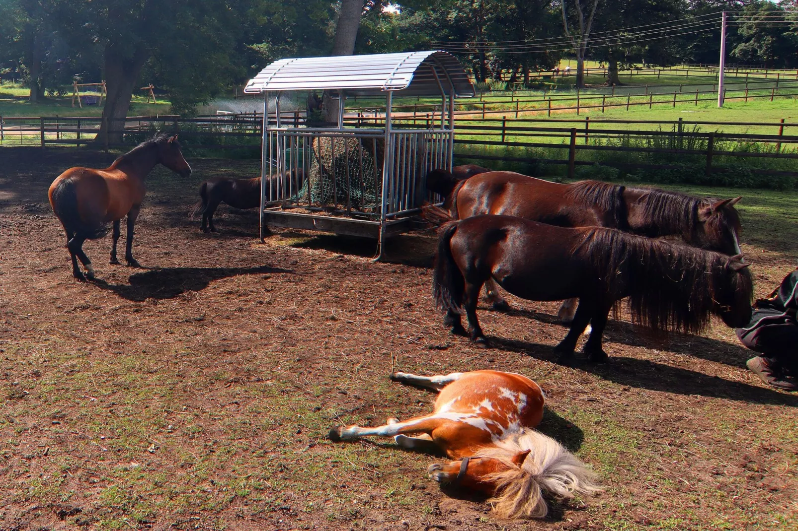 Haus Oliver 200 qm / 1-2 Personen-Tuinen zomer