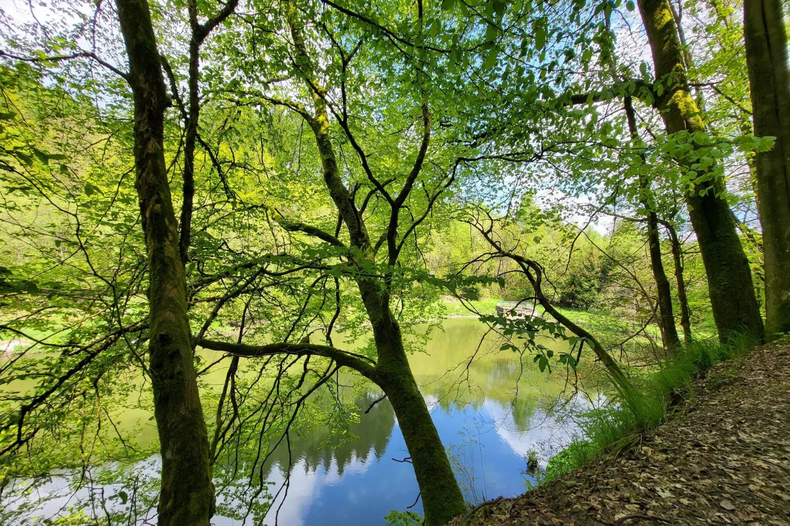 Am Waltenberg 70-MG-Gebieden zomer 5km