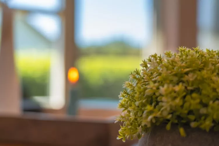 Sommerhus-nordlys 80 qm-Sfeer