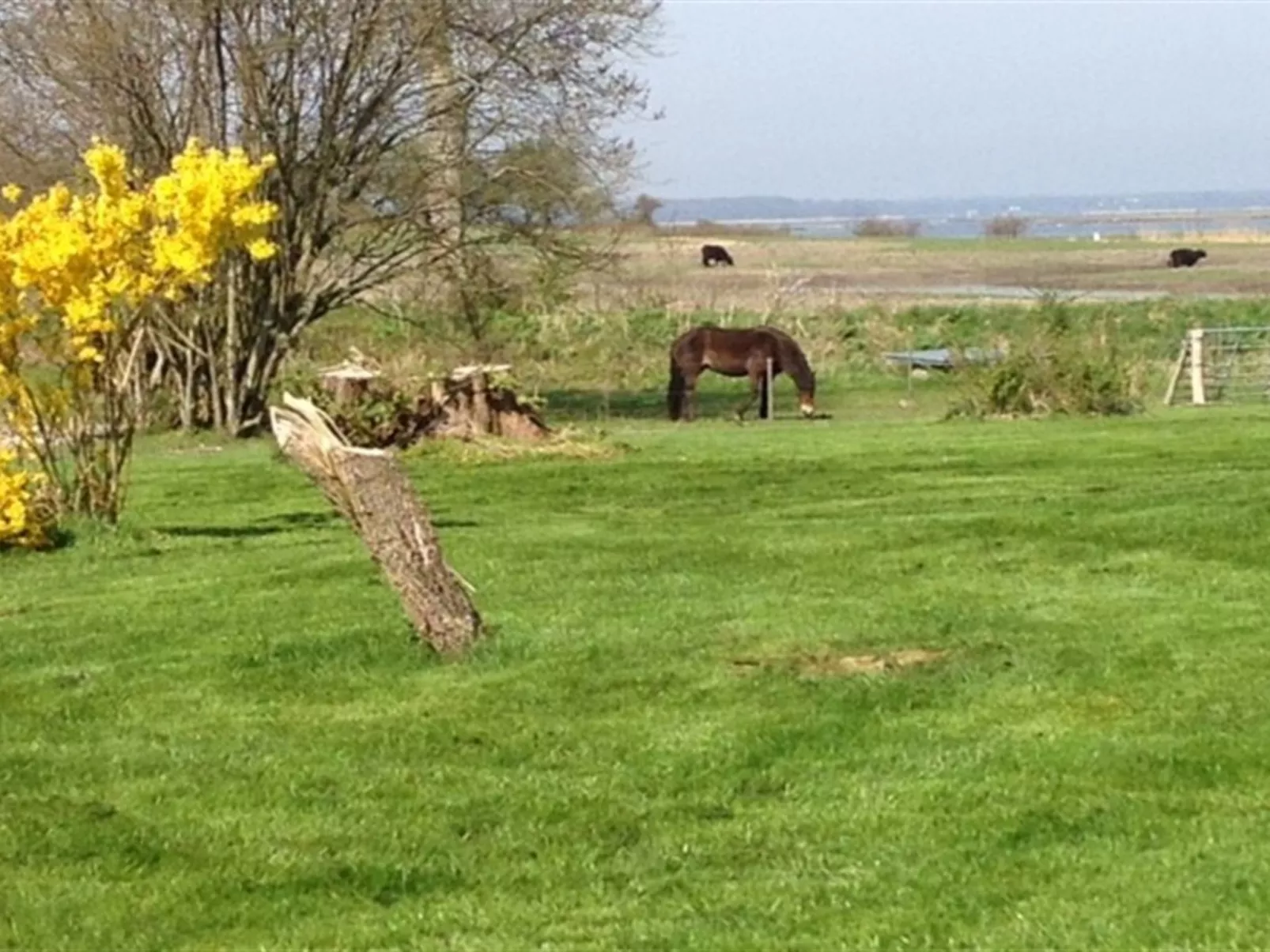 "Margareta" - 250m to the fjord-Buiten