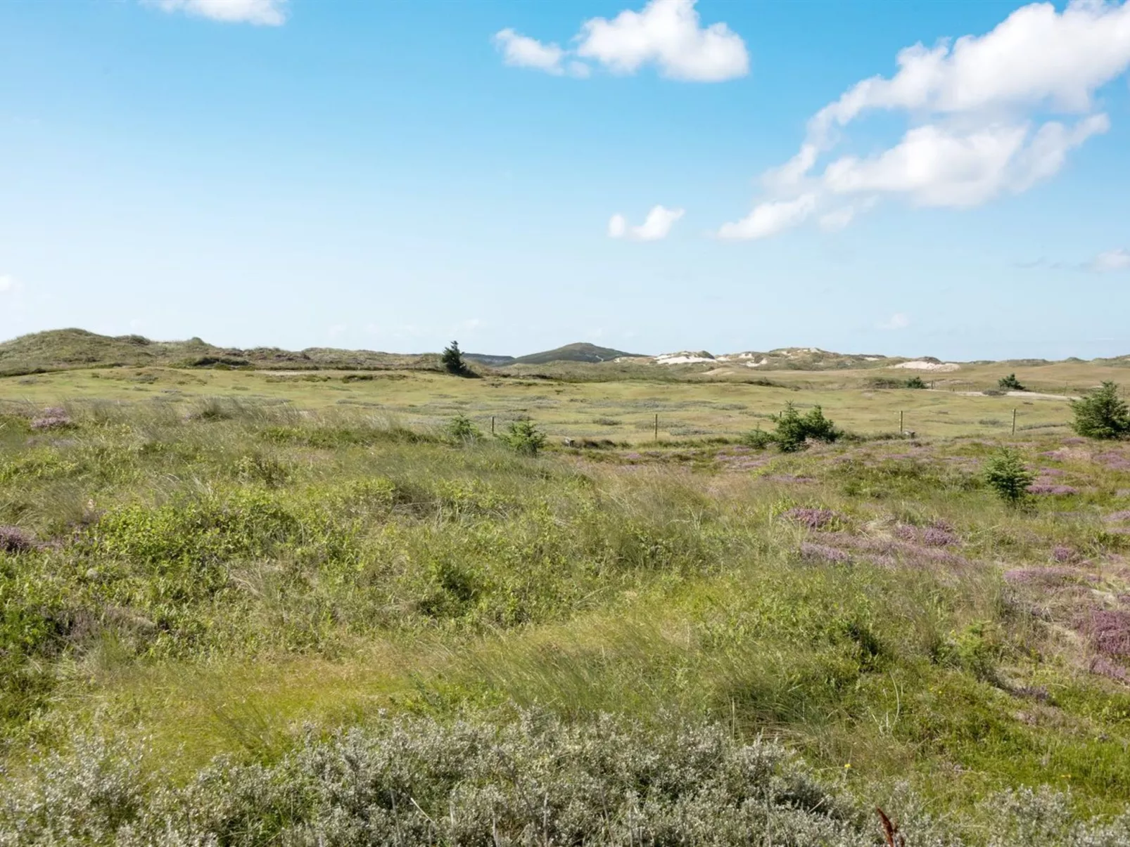 "Dorothea" - 450m to the fjord-Buiten