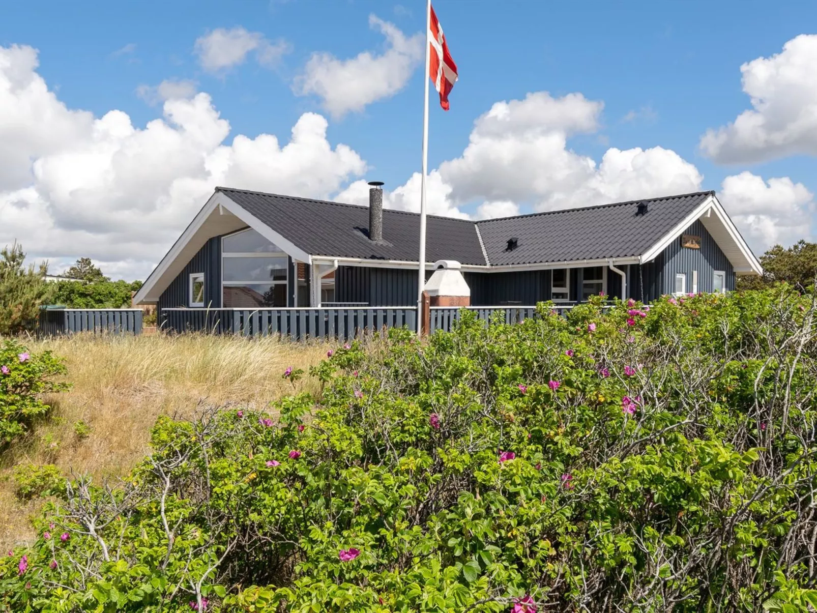 "Freek" - 400m from the sea-Buiten