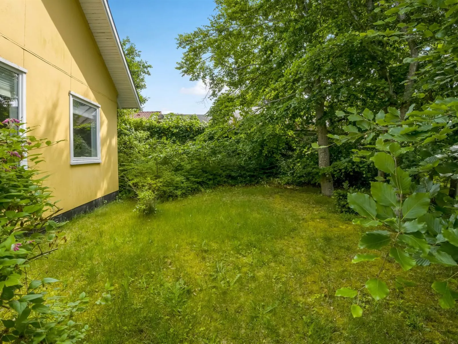 "Fedder" - 700m from the sea-Buiten