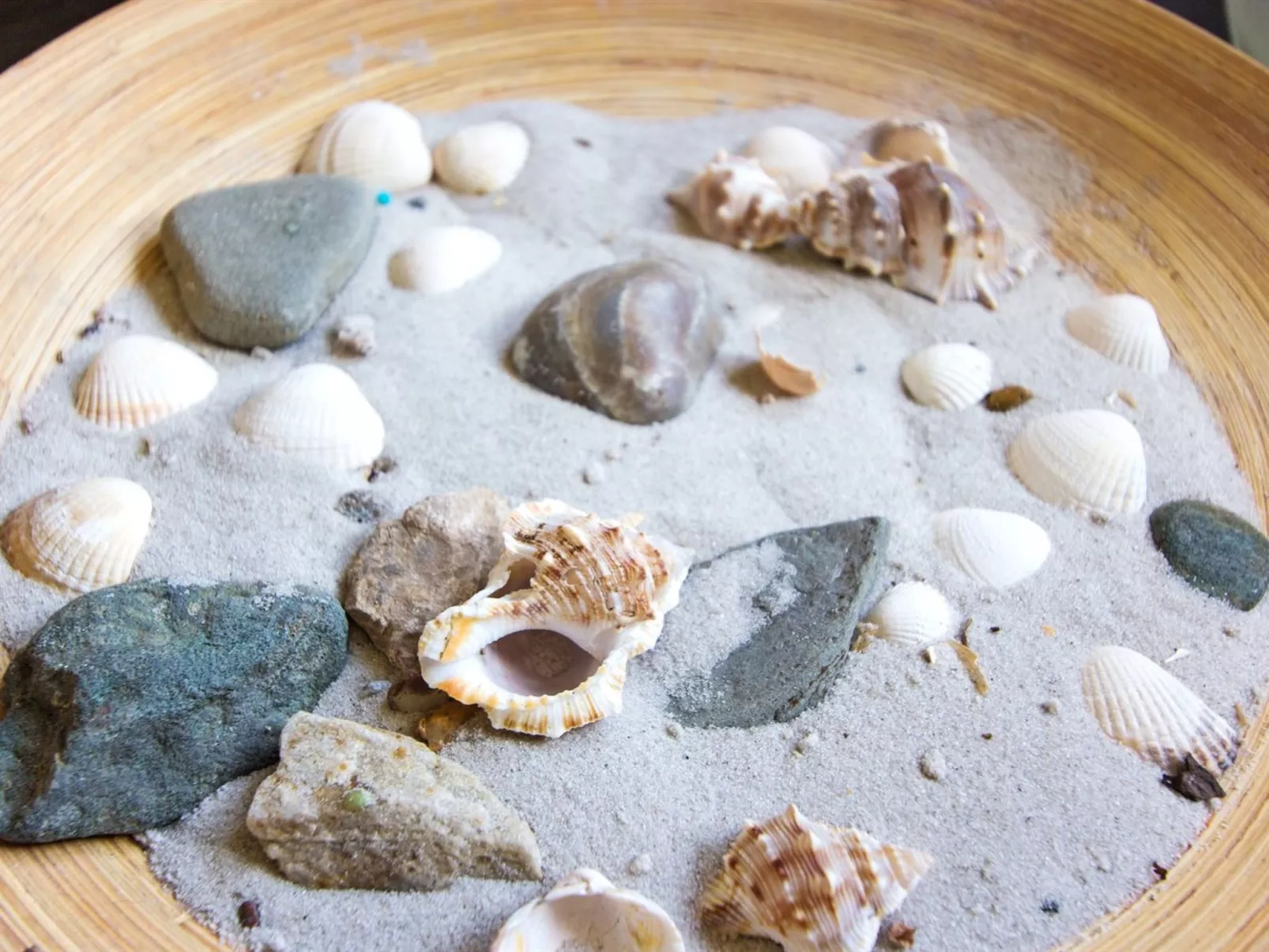 "Loke" - 300m from the sea-Binnen