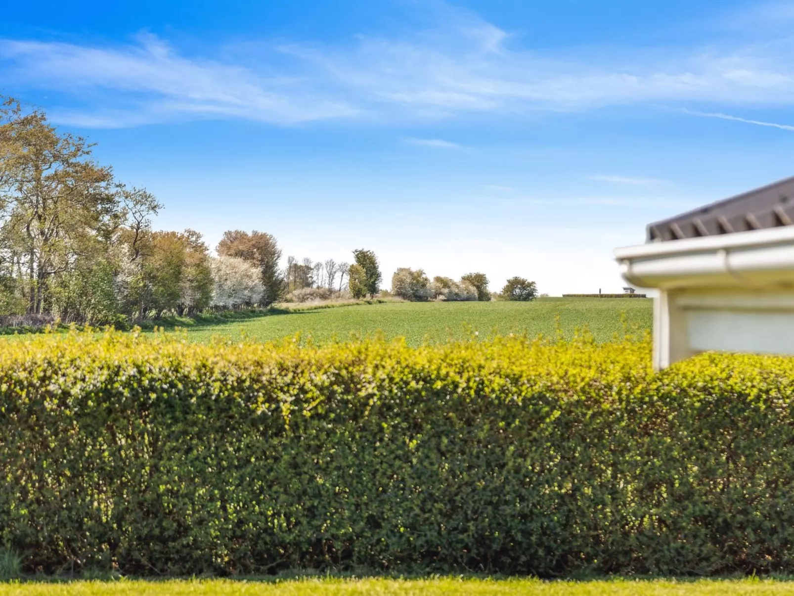 "Evamaria" - 350m from the sea-Buiten