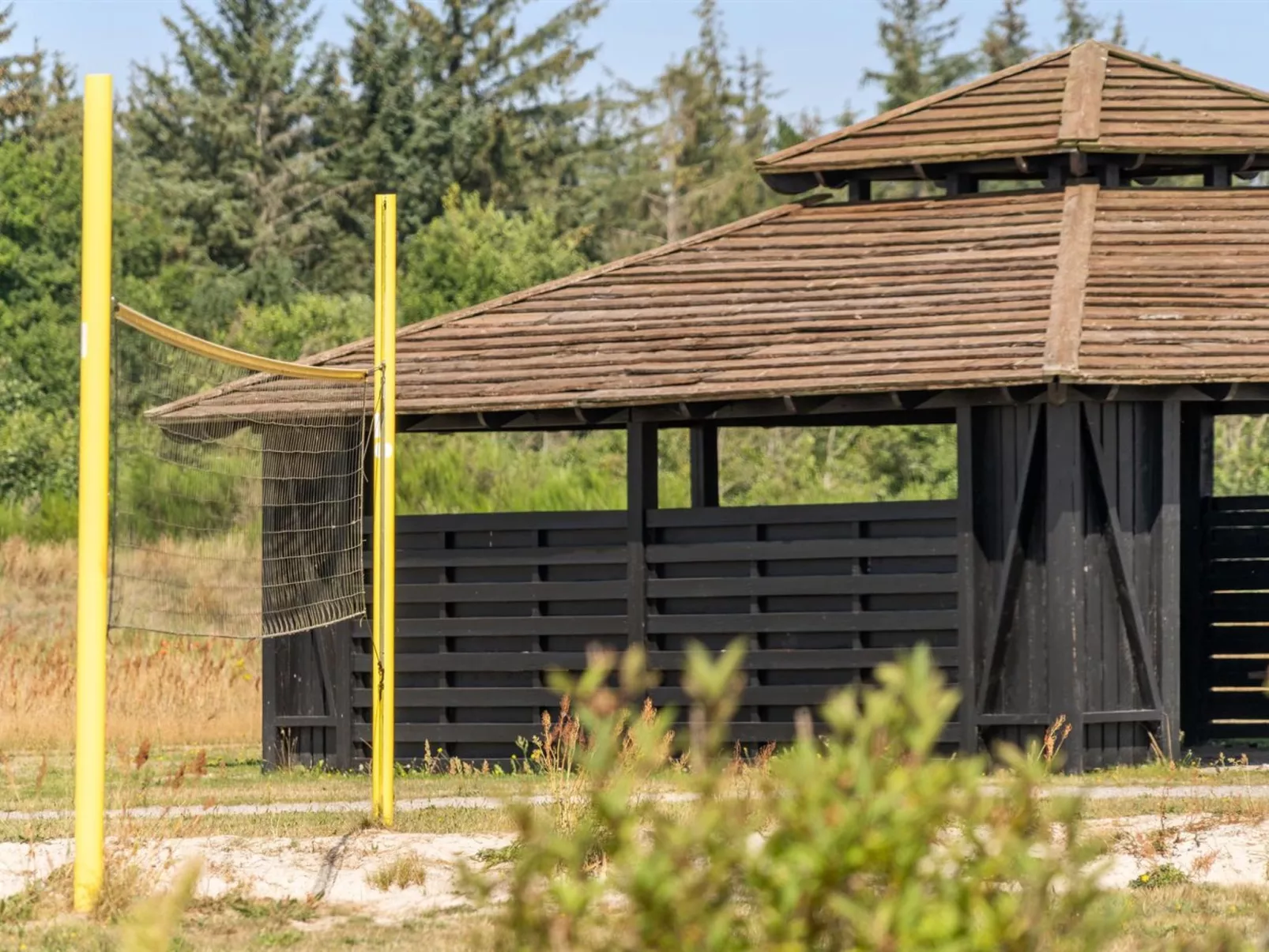 "Richard" - 4km from the sea-Binnen