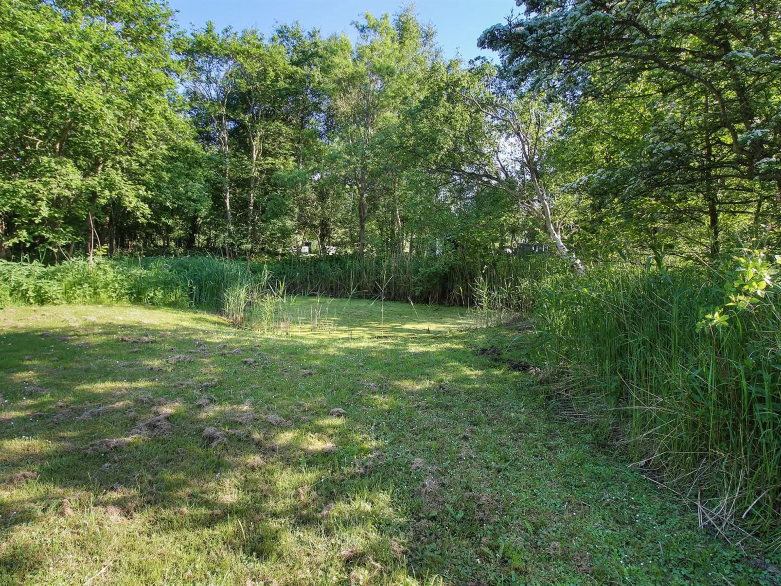 "Virve" - 300m from the sea-Buiten