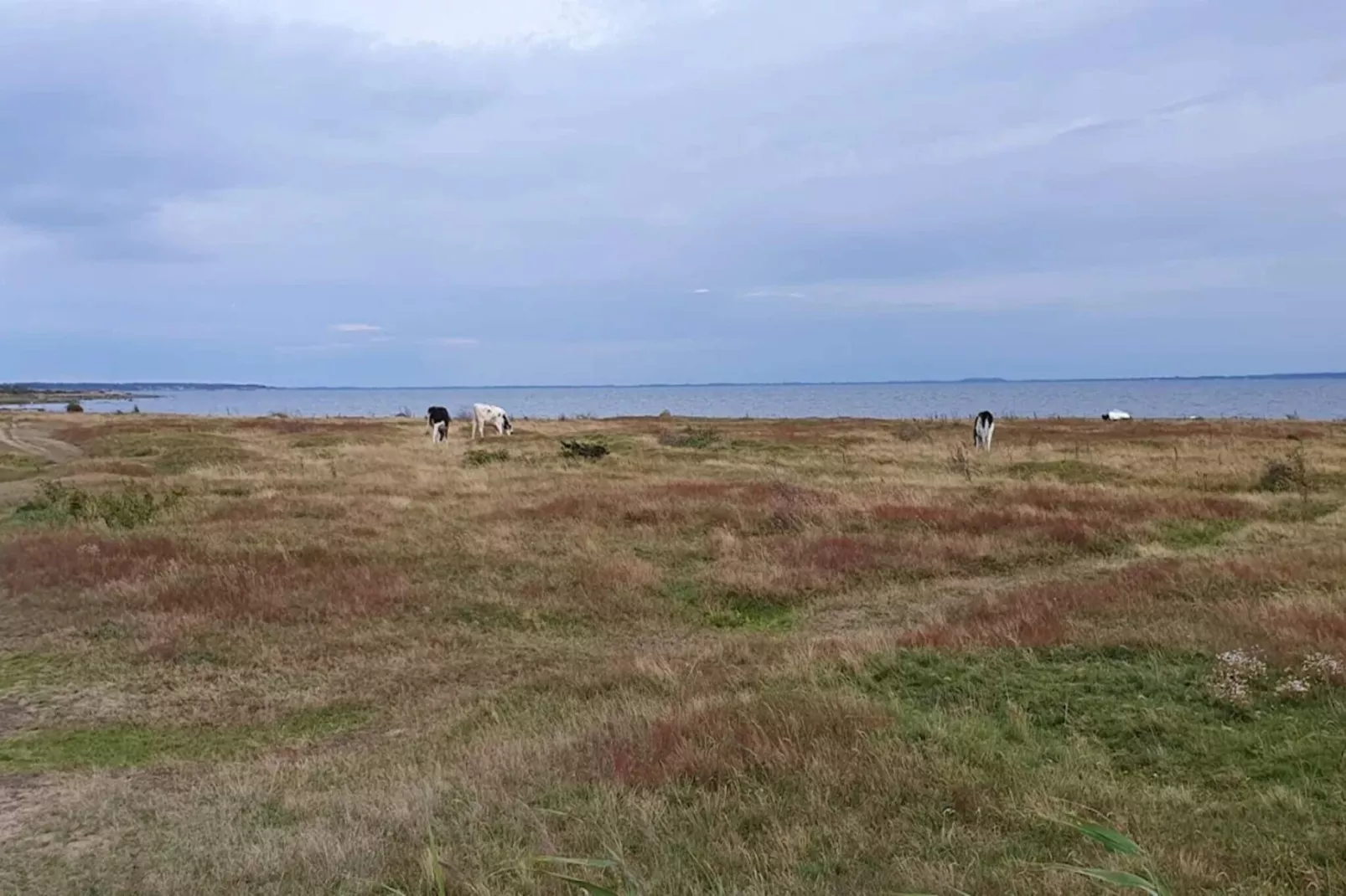 6 persoons vakantie huis in BÅSTAD-By Traum-Waterzicht