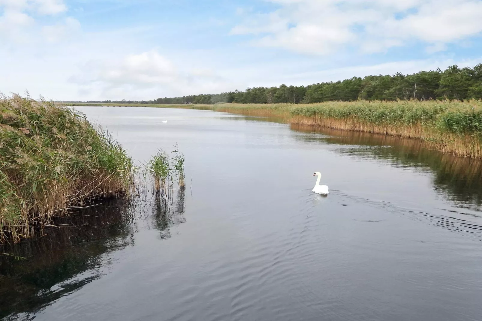5 sterren vakantie huis in Vig-By Traum-Waterzicht