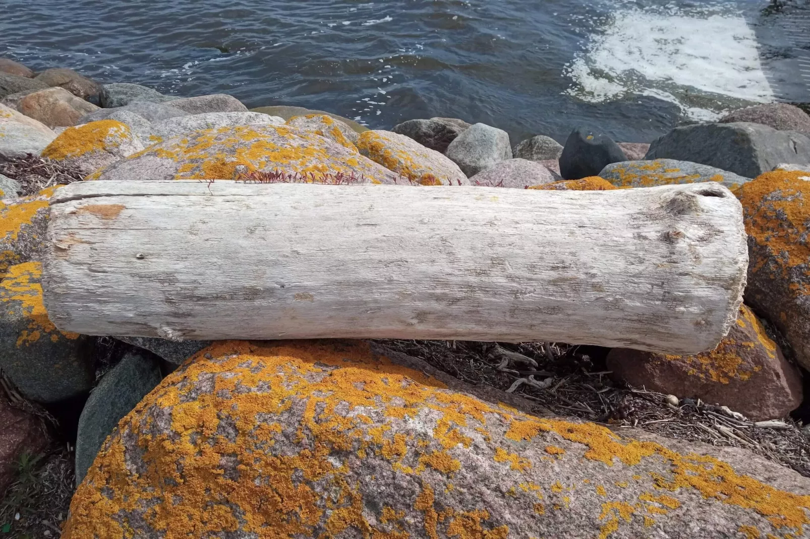 6 persoons vakantie huis in Rødvig Stevns-By Traum-Waterzicht