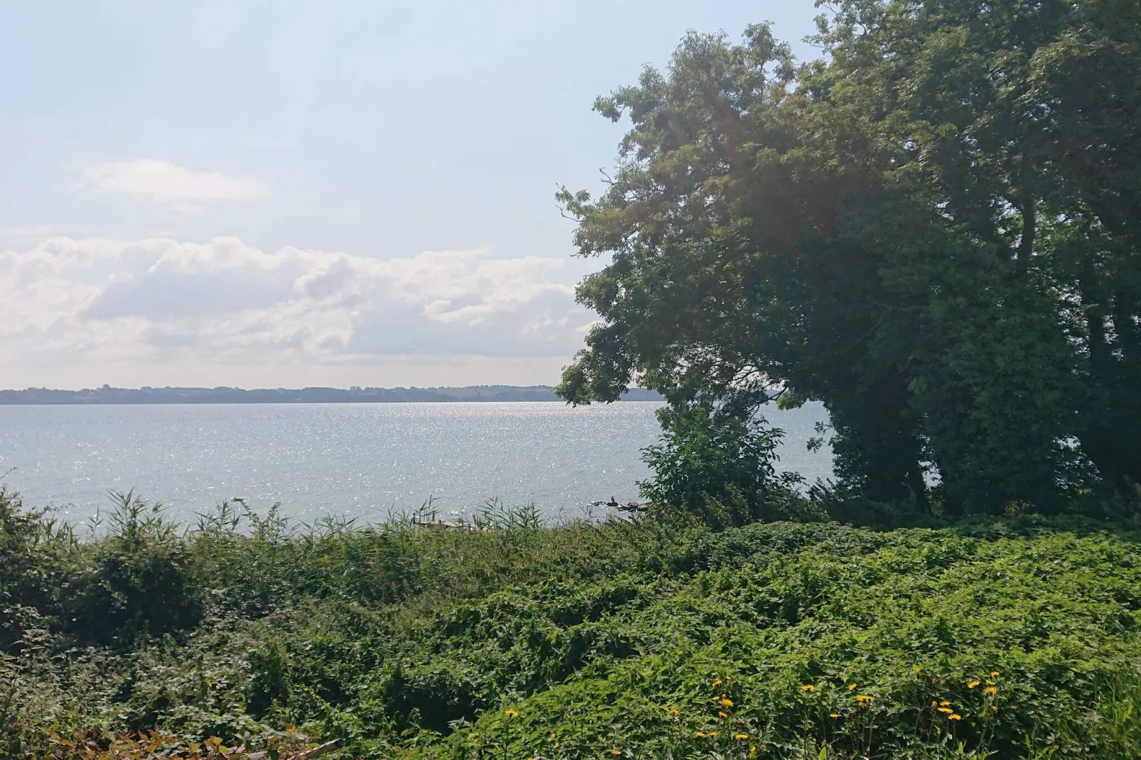 8 persoons vakantie huis in Aabenraa-By Traum-Waterzicht