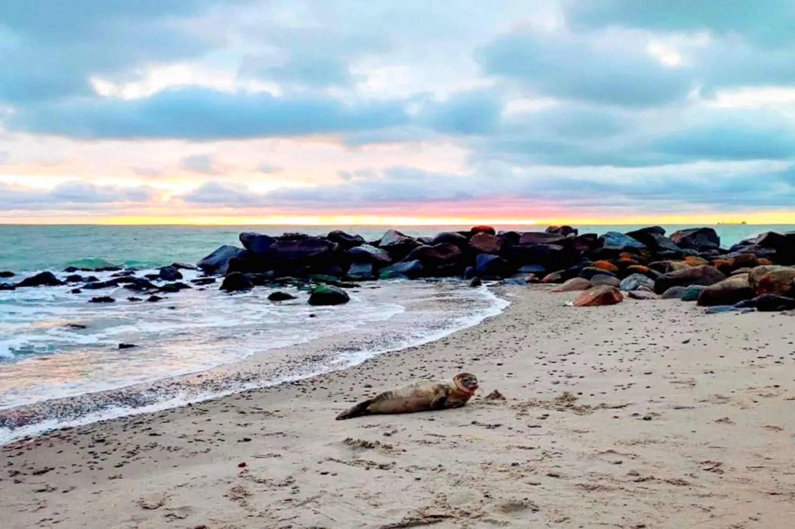 5 sterren vakantie huis in Skagen-By Traum-Niet-getagd