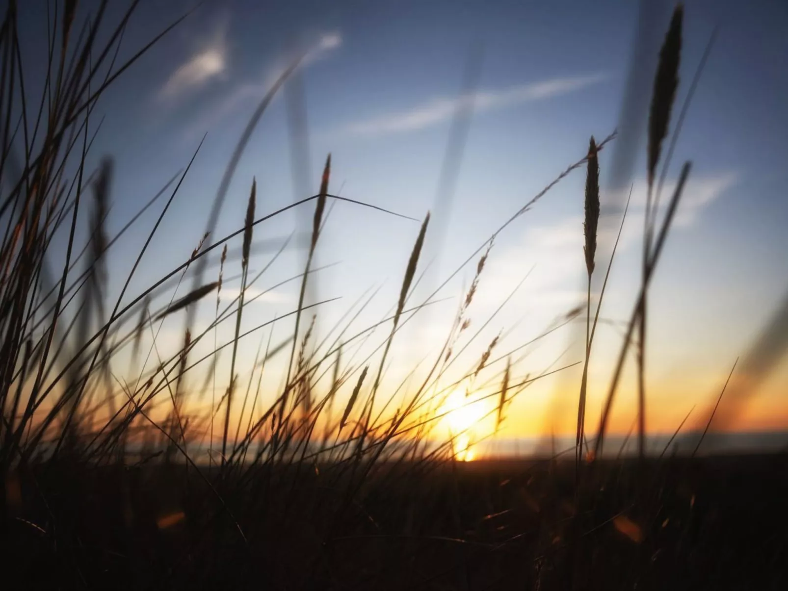 "Blakke" - 200m from the sea-Buiten