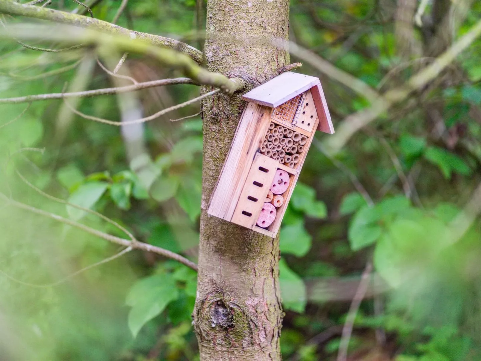 "Etel" - 600m from the sea-Buiten