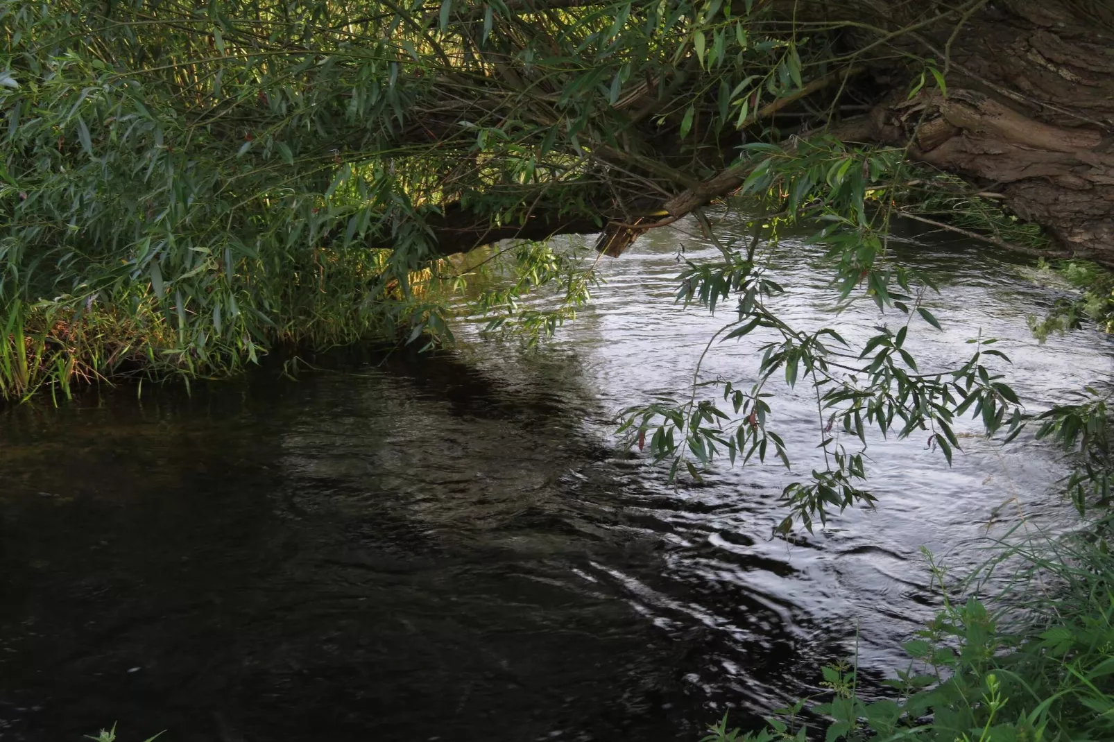 4 persoons vakantie huis in Hadsund-By Traum-Waterzicht