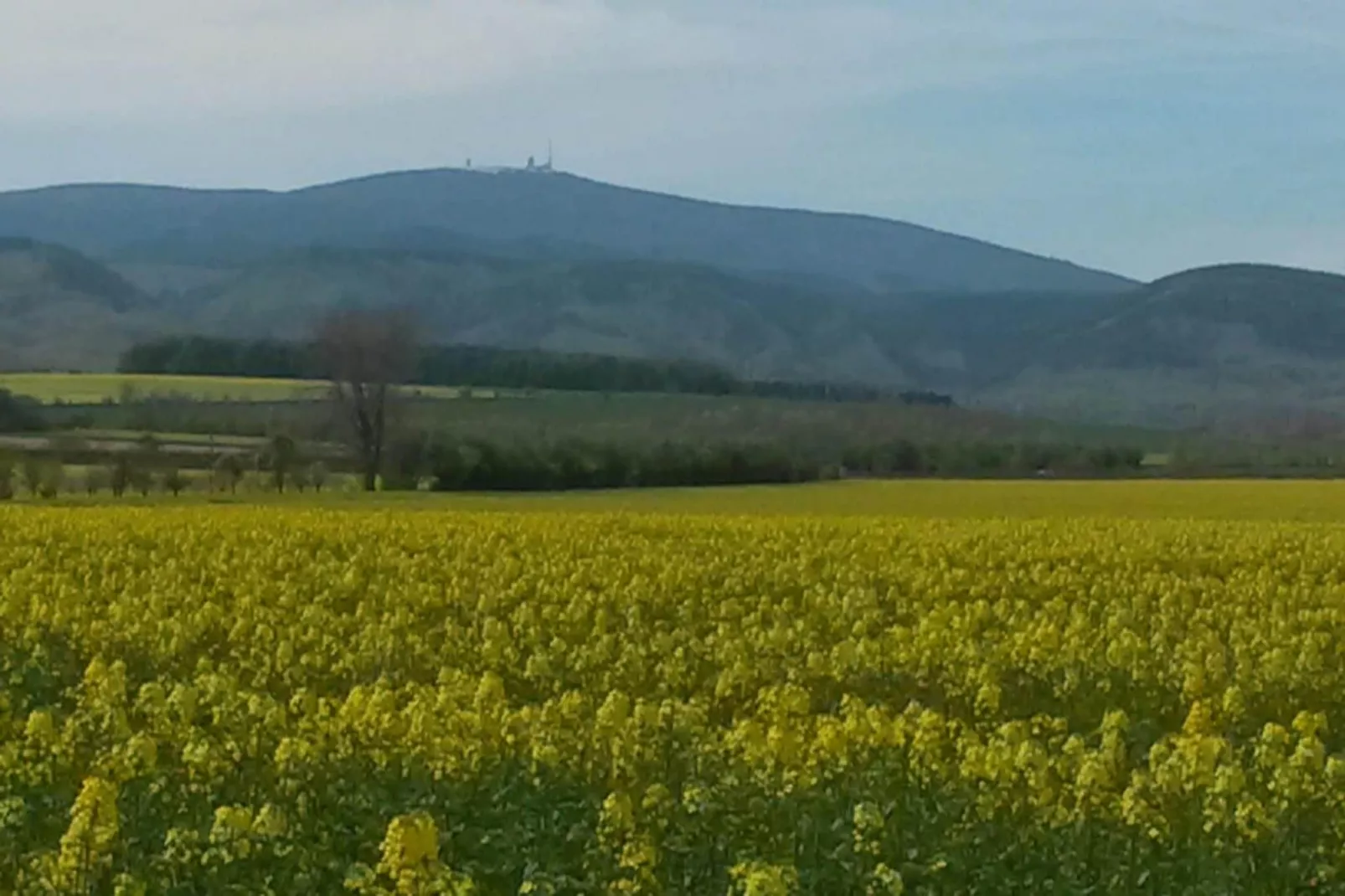 Meineckes Harzidyll Am Eichenberg III