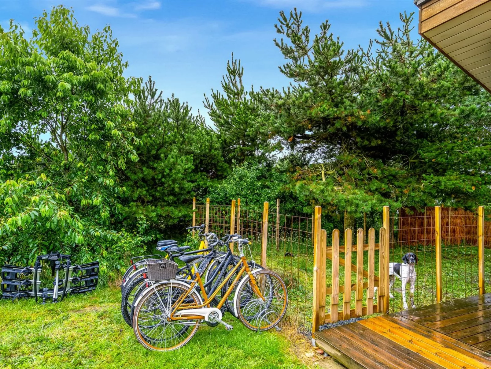 "Zölestine" -  from the sea-Buiten