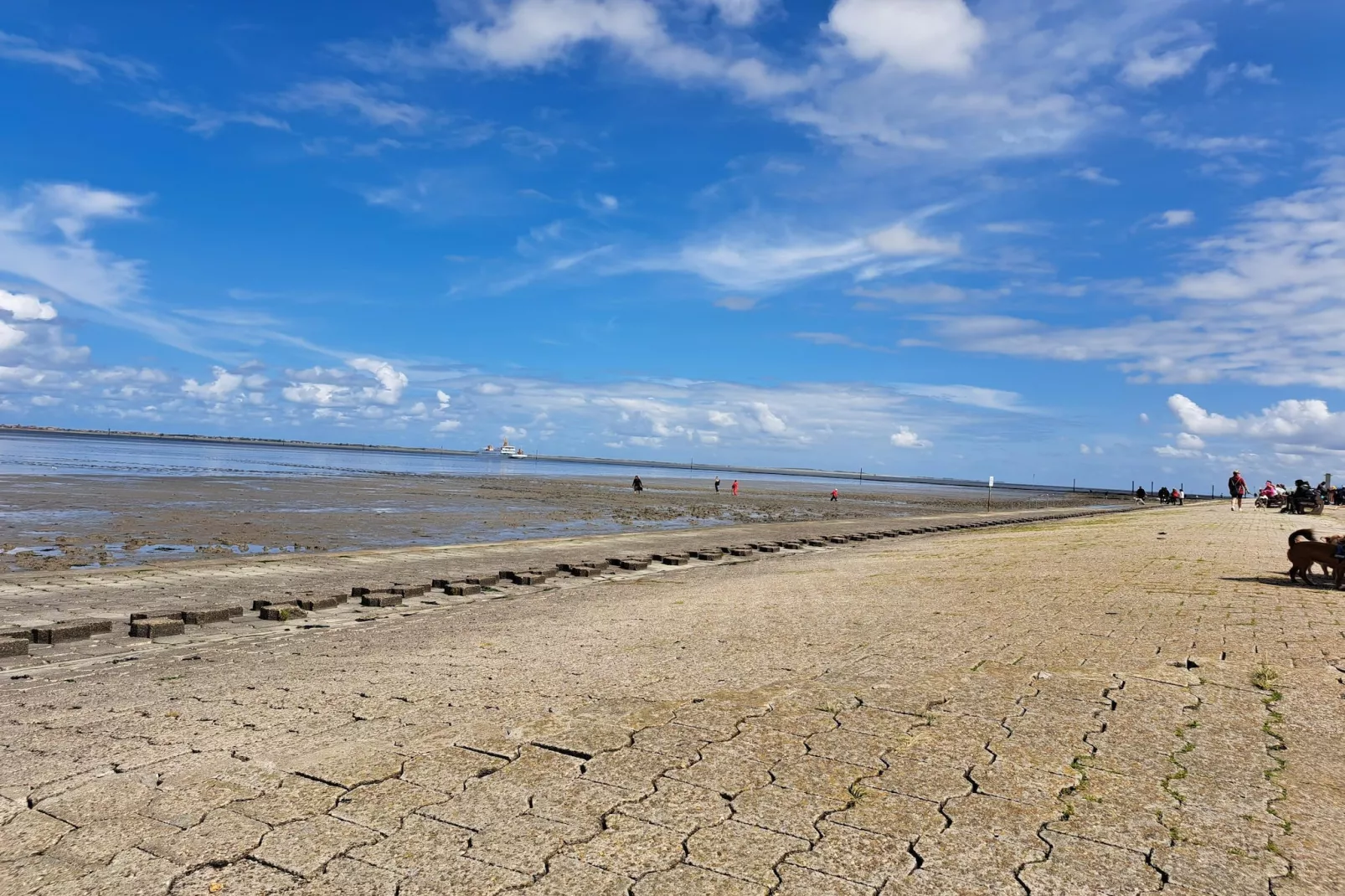 Doppelhaushälfte Nordseerose 125-Gebieden zomer 5km