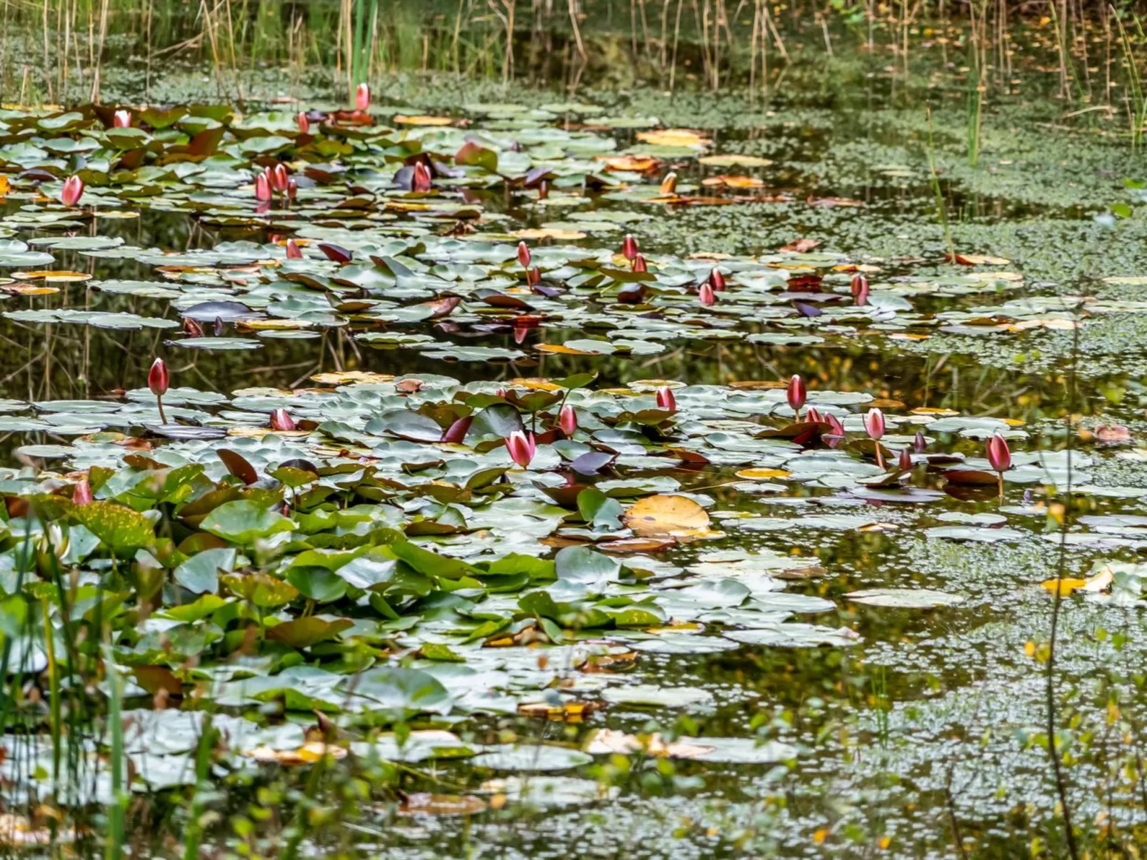 "Vicente" - 14km to the fjord-Buiten
