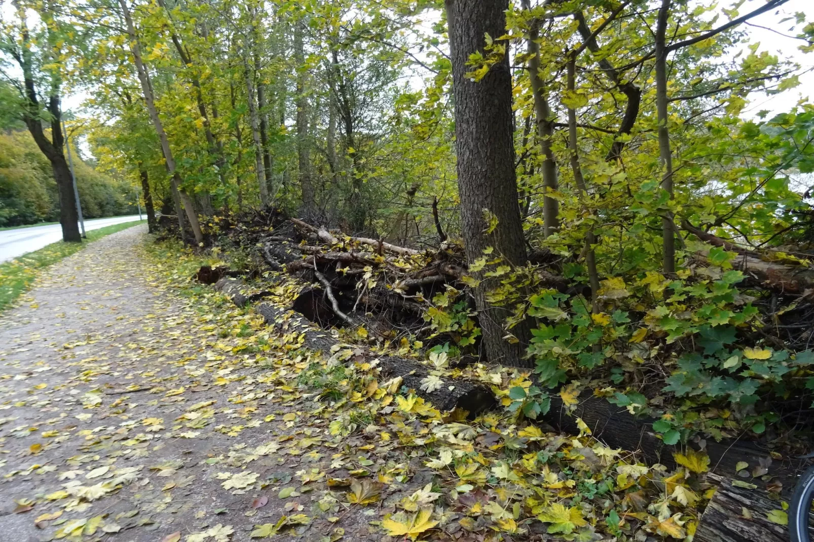 Luxus-Familienappartement / 6 Personen-Gebieden zomer 5km