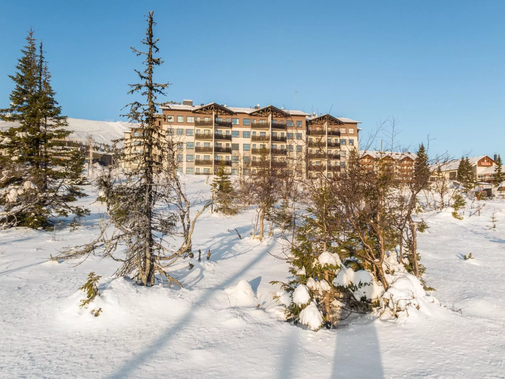 Nordic chalet 9209-Binnen