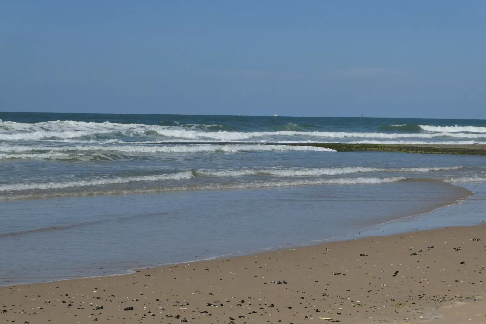 De Rede-Gebieden zomer 5km