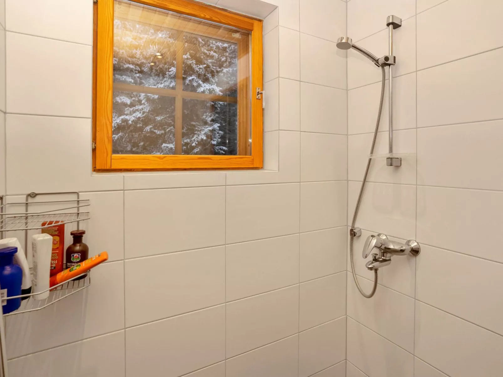 Ihtingin koskikara-Binnen