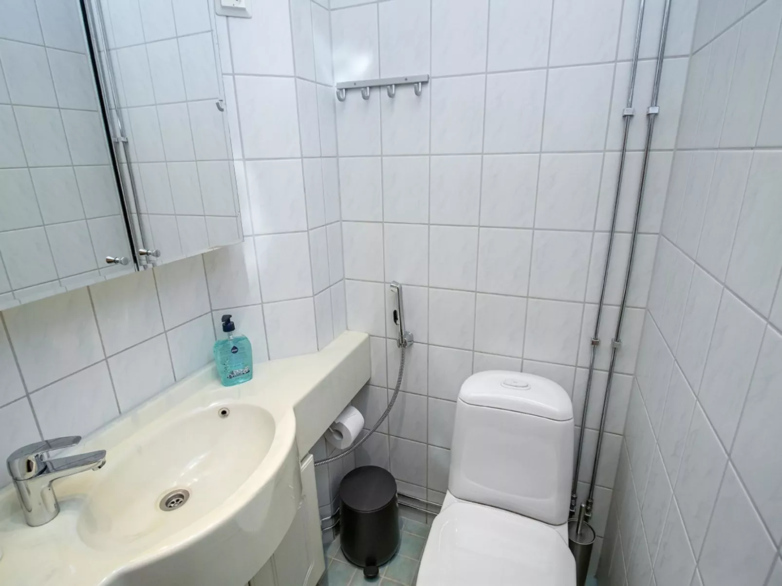 Lomariekko 6 a 2-Binnen