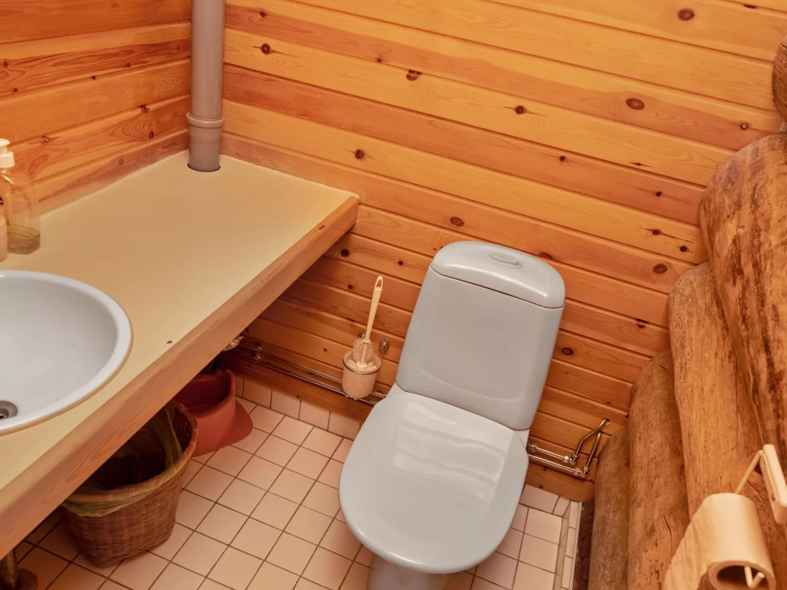 Villihanhi 7b-Binnen