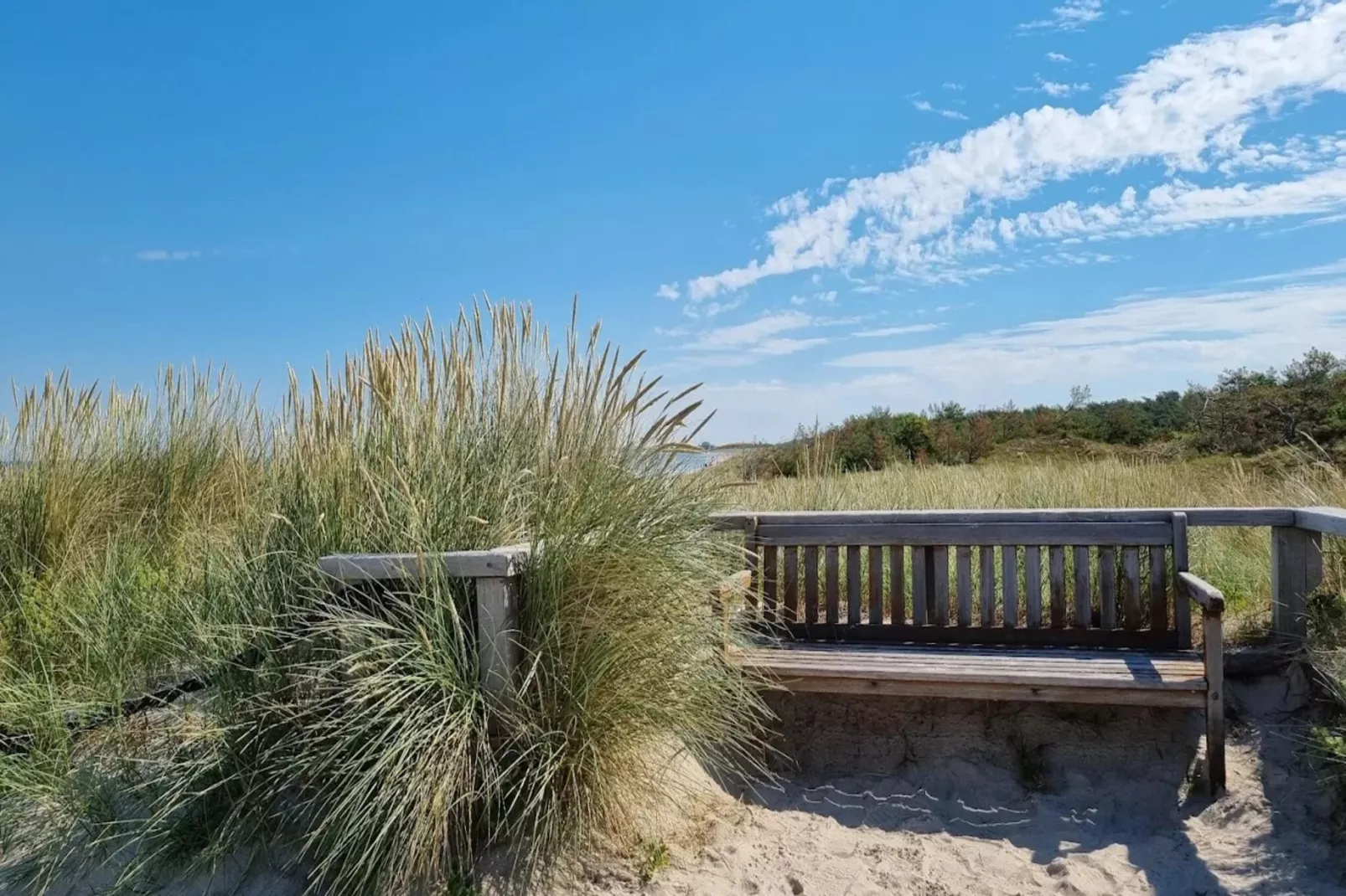 Haus Sonne - Souterrain Fewo - Strandhotel Fischland-Gebieden zomer 5km