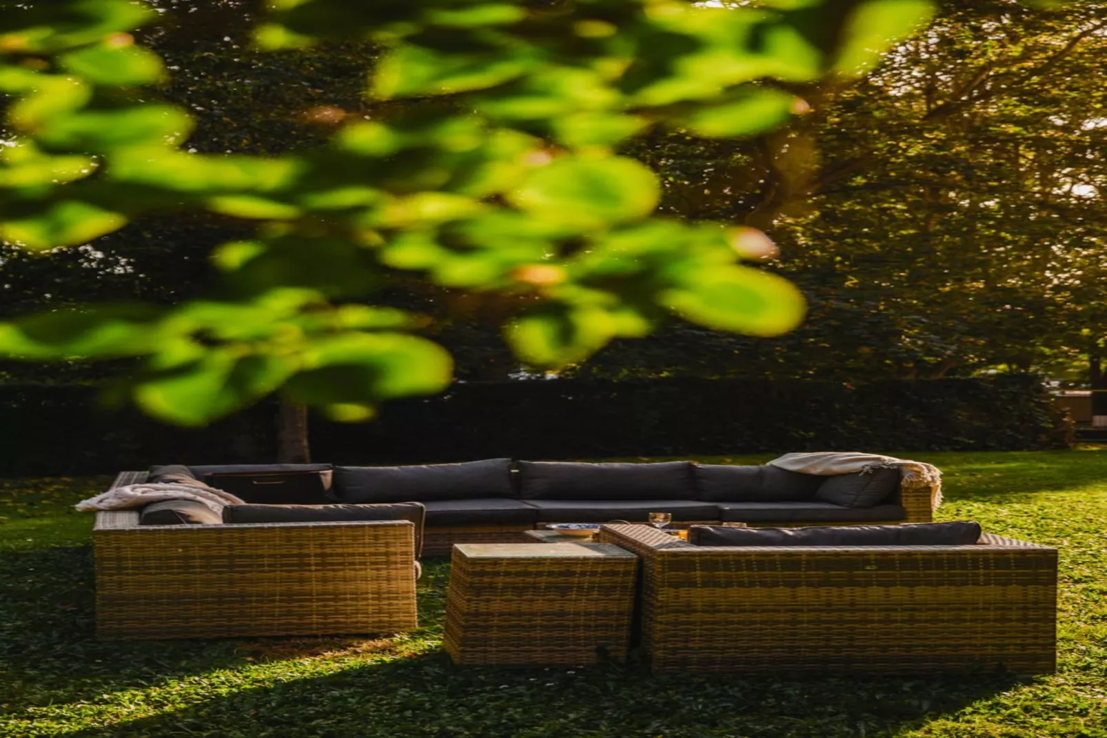 DEAUVILLE RAINGOLD-Niet-getagd