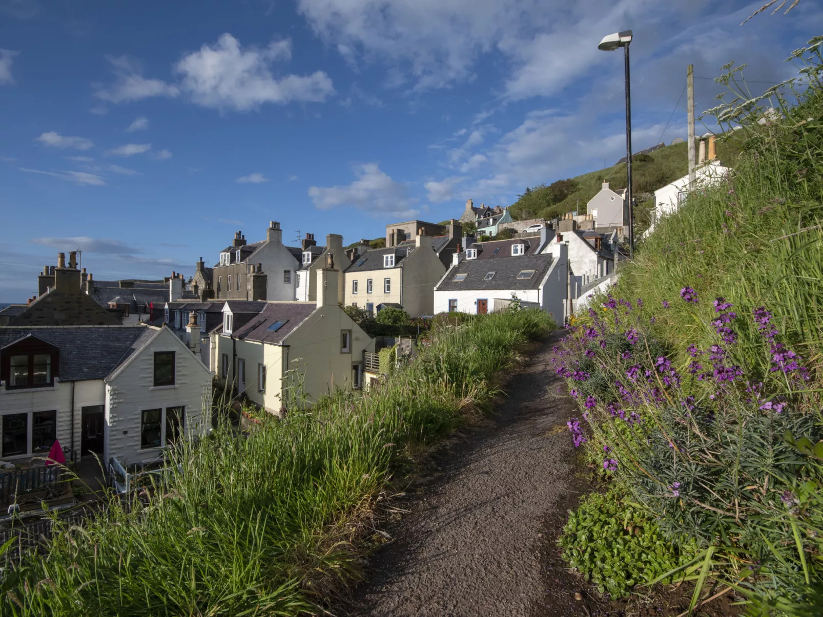Ellie-Jo Cottage-Buiten